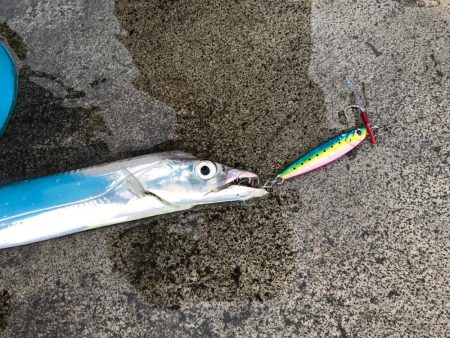 昼太刀イレブン