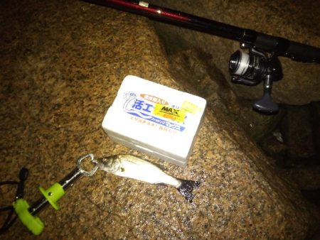 初の手のひら以上キビレ