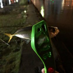 タチウオ狙いで行くも…