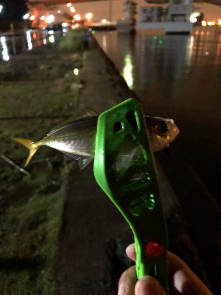 タチウオ狙いで行くも…