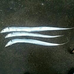 雨にも負けず♪