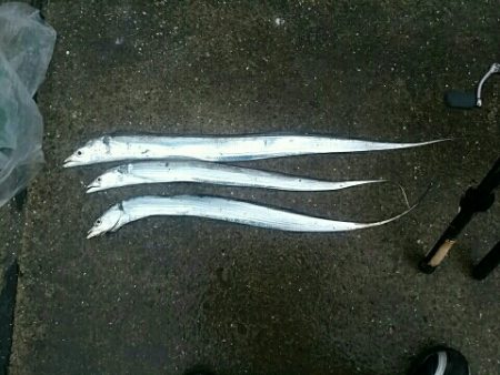 雨にも負けず♪