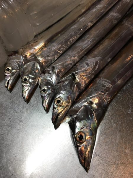 エコギアルアーいいね!