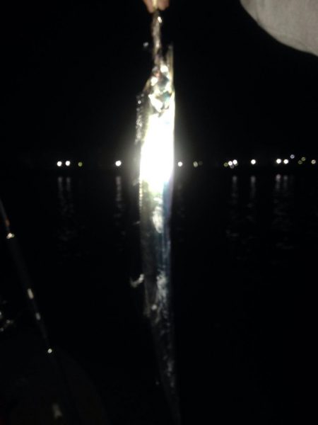 NEWロッドで良釣