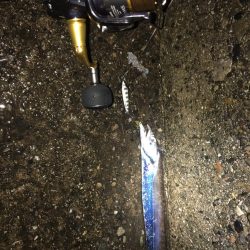 嵐の日は釣れる