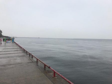 タチウオ、サゴシ