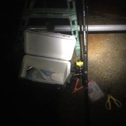 雨の中ボウズは逃れました