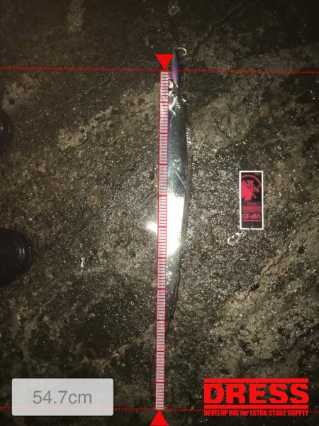 シーバスのはずが(^^;