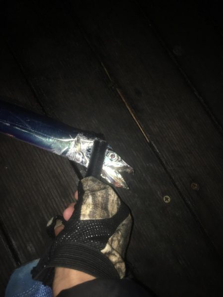 大阪奥湾ワインド 中央突堤