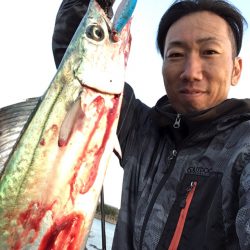 高砂エリア☆台風後調査〜