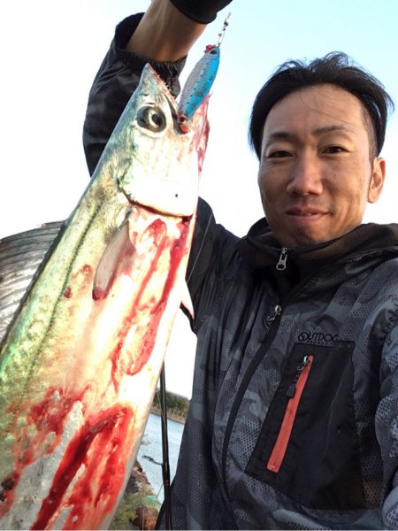 高砂エリア☆台風後調査〜