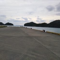 阿南市の大潟岸壁でタチウオ