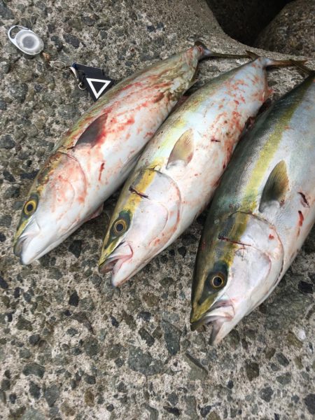 これぞ台風後の…?