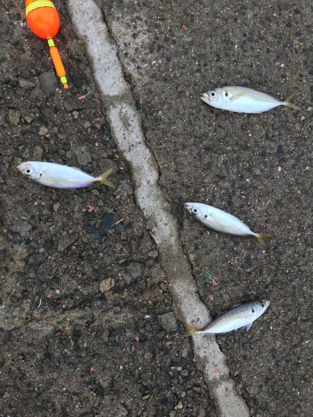 鳴尾浜海釣り広場