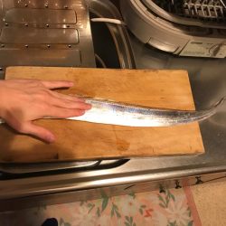 タチウオゲット！