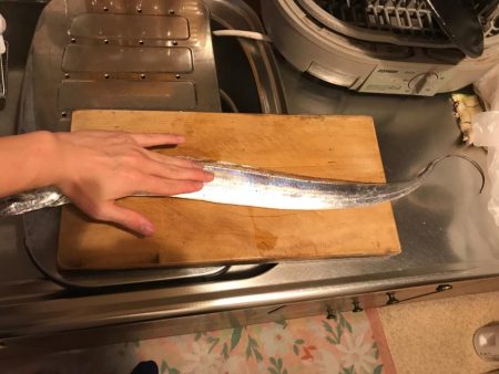 タチウオゲット！