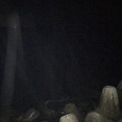 秋の釣り始めエギング