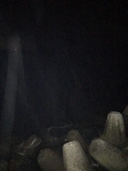 秋の釣り始めエギング