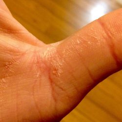 シーバスに感謝