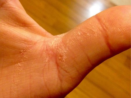 シーバスに感謝