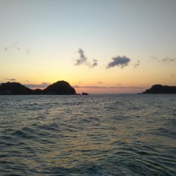 阿南市の辰巳でタチウオ好調