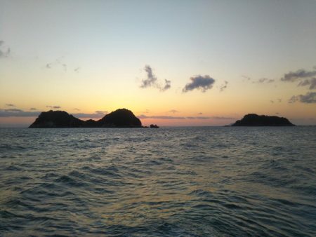 阿南市の辰巳でタチウオ好調