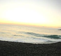 大里松原海岸 ハマチ 3匹