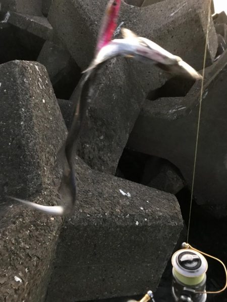 アタリはあるが…