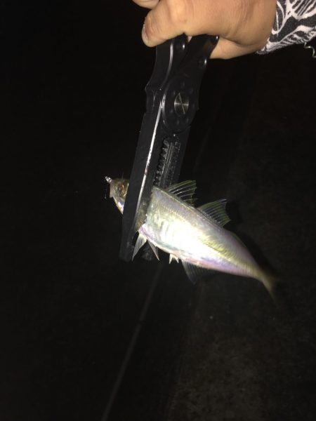 ラッキーかな？