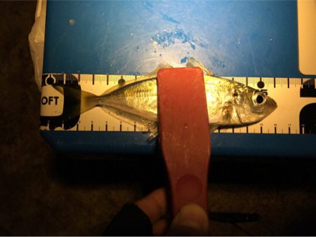 昨日のリベンジ達成