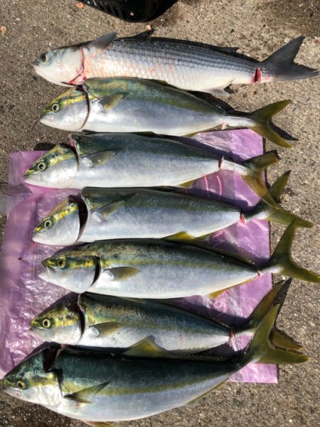 とどヤバ美味い♫