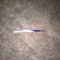 台風前の刀狩り