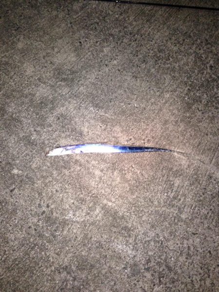 台風前の刀狩り