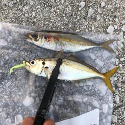 お昼からぼちぼちライトゲーム