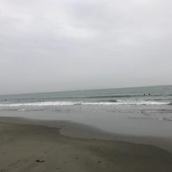 小雨の中でタチウオ