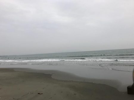 小雨の中でタチウオ