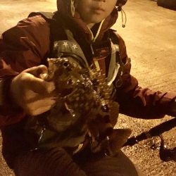 ガシラに会えて良かった