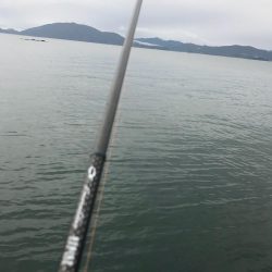 3.5号から3号にサイズダウンで数釣り成功