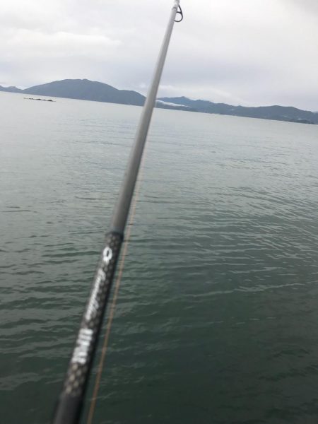 3.5号から3号にサイズダウンで数釣り成功