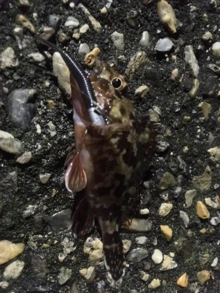 爆風ライトゲーム