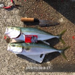 ナブラも奥が深い