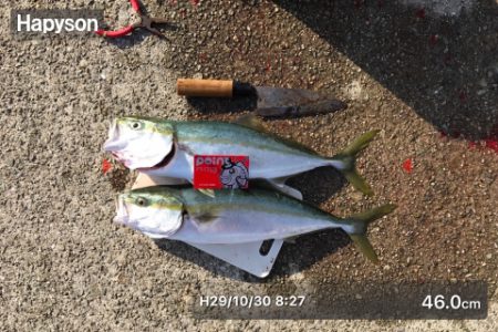 ナブラも奥が深い