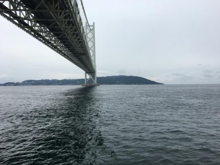 イカはダメでハマチ