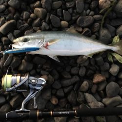 大里松原海岸 ハマチ5+2 シオ1