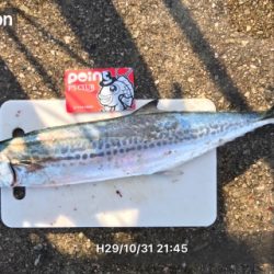 ラン&ジャンピンサイドレーザーキャストナブラゲッチュ！