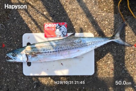 ラン&ジャンピンサイドレーザーキャストナブラゲッチュ！