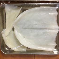 コウイカとアオリイカ