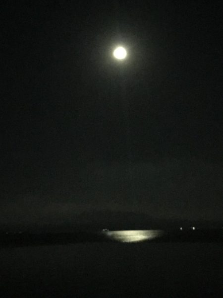 イマイチ(・・;)