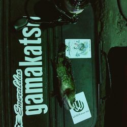 日に日に寒くなる