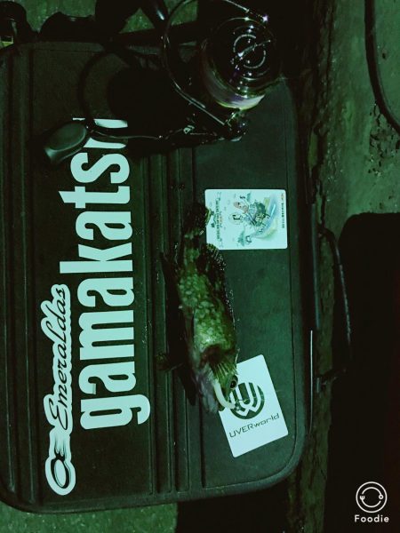 日に日に寒くなる